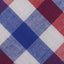 Skinny Tie Madness Red & Blue Checked Tie
