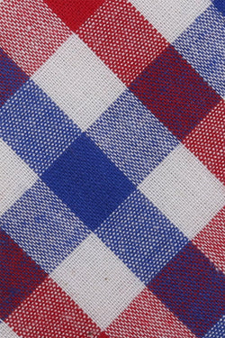Skinny Tie Madness Red & Blue Checked Tie thumbnail 2