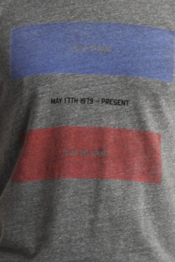 Rxmance Grey May 17th Crew Tee thumbnail 2