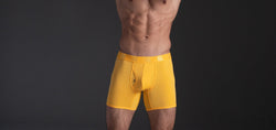 5=Ten Orange Boxer Brief thumbnail 3