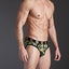 5=ten Color Guard Brief
