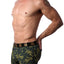 5=ten Year of the Dragon Trunk