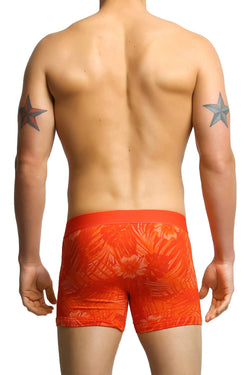 Papi Orange Oasis Boxer Brief thumbnail 3