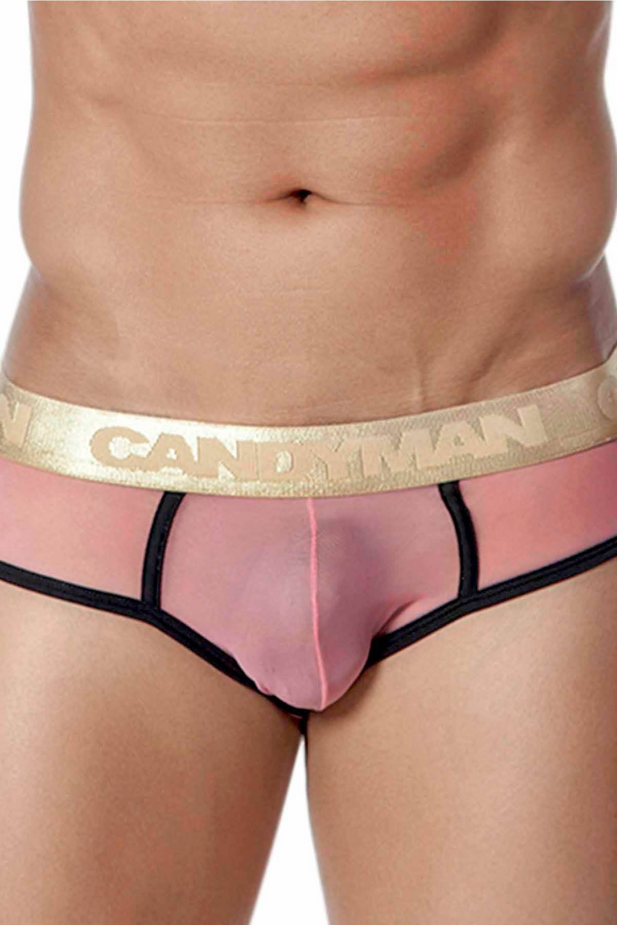Candyman Pink/Navy Sheer Mesh Brief