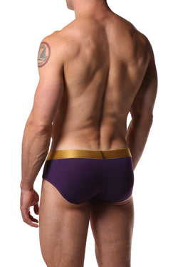 Dirt Squirrel Purple & Metallic Relaxed Brief thumbnail 3