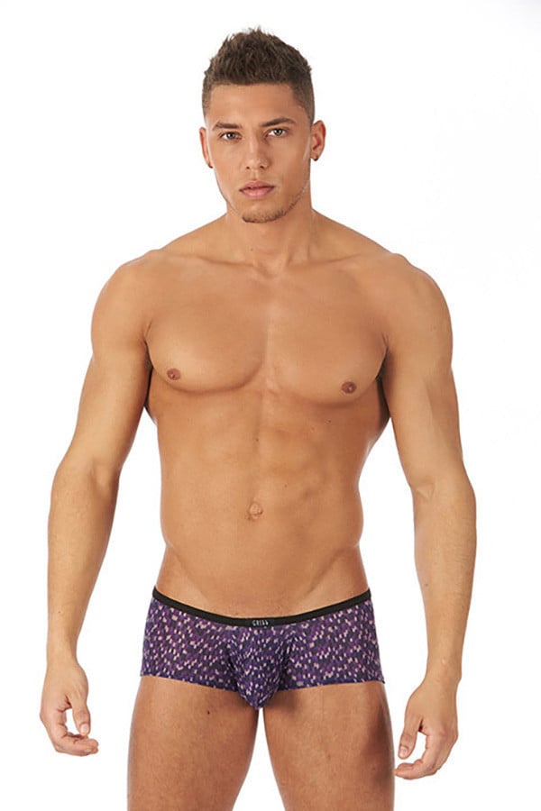 Gregg Homme Purple Celebration Boxer Brief
