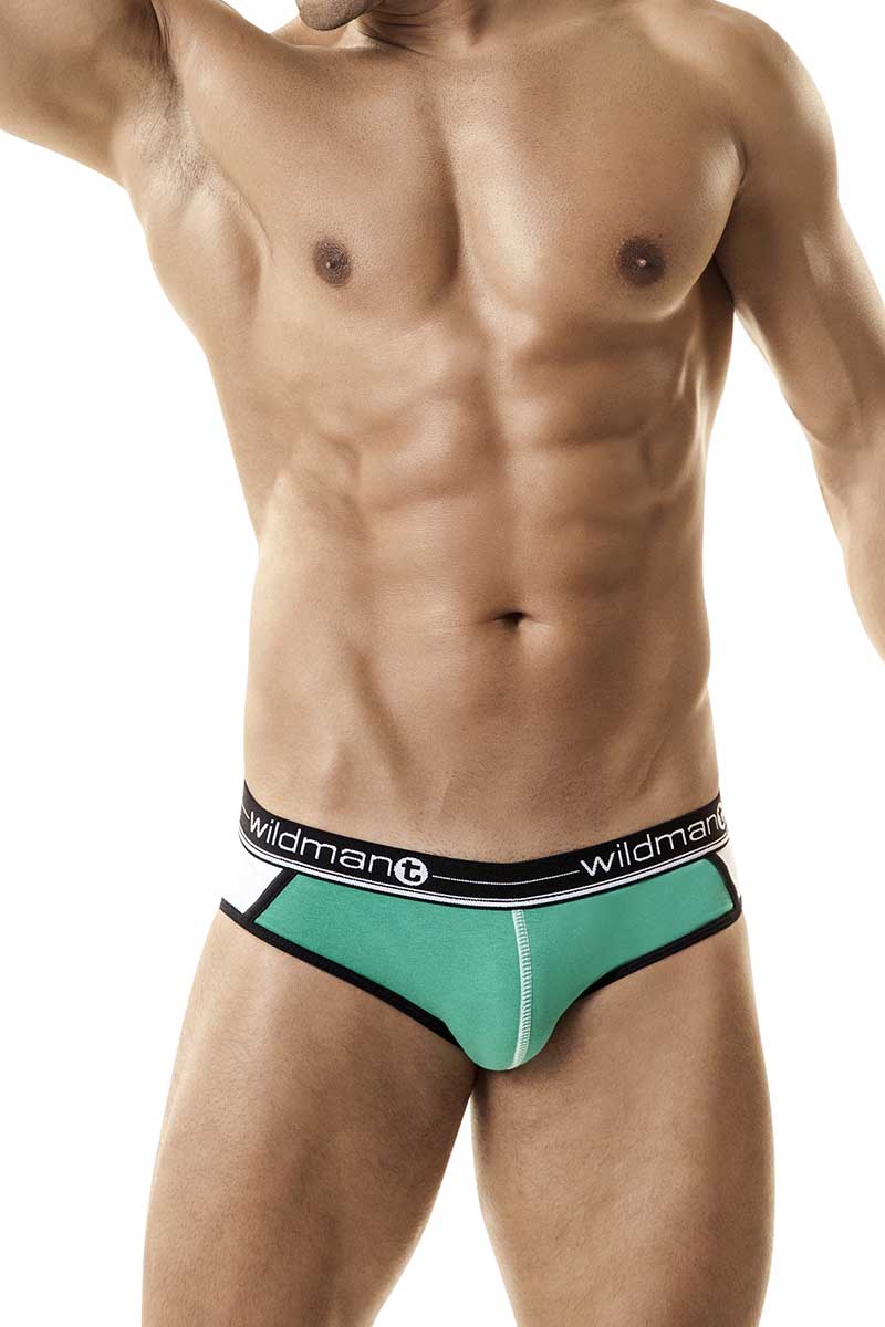 WildmanT Green Moon Brief