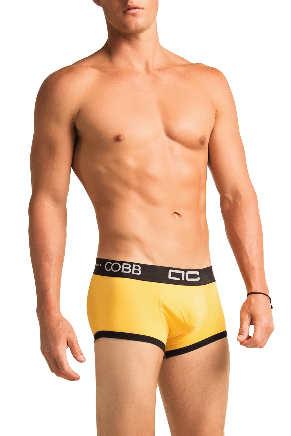 Alexander Cobb Yellow River Trunk