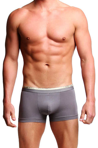 Joe's Jeans Grey & Gold Trunk