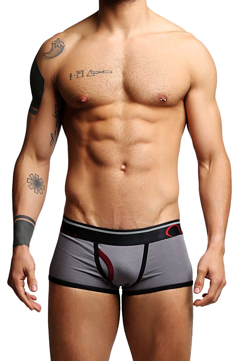 Jam Grey Trunk