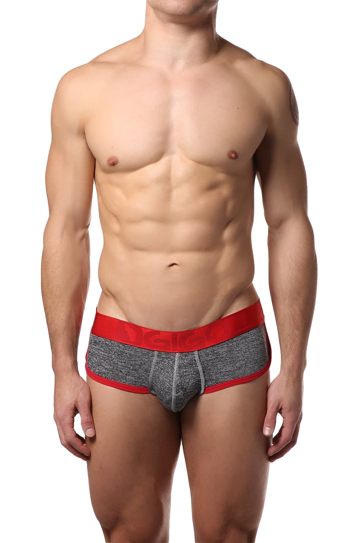 Gigo Grey Jasp Brief