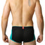 Green & Black Bamboo Trunk