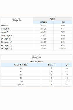 Vanity Fair Violet-Ice Perfectly Yours Ravissant Nylon Brief thumbnail 2