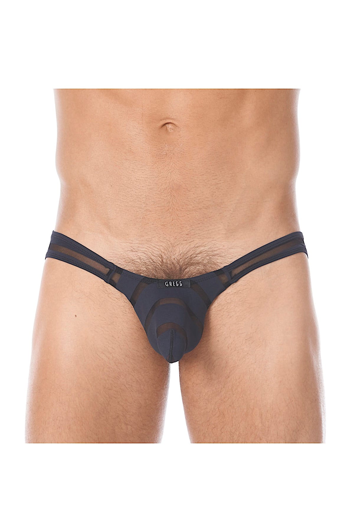 Gregg Homme Black Mesh Encore Brief