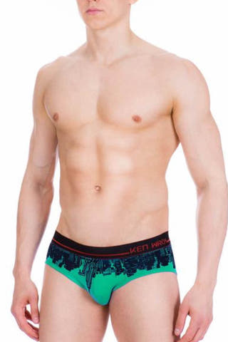 Ken Wroy Green New York Brief