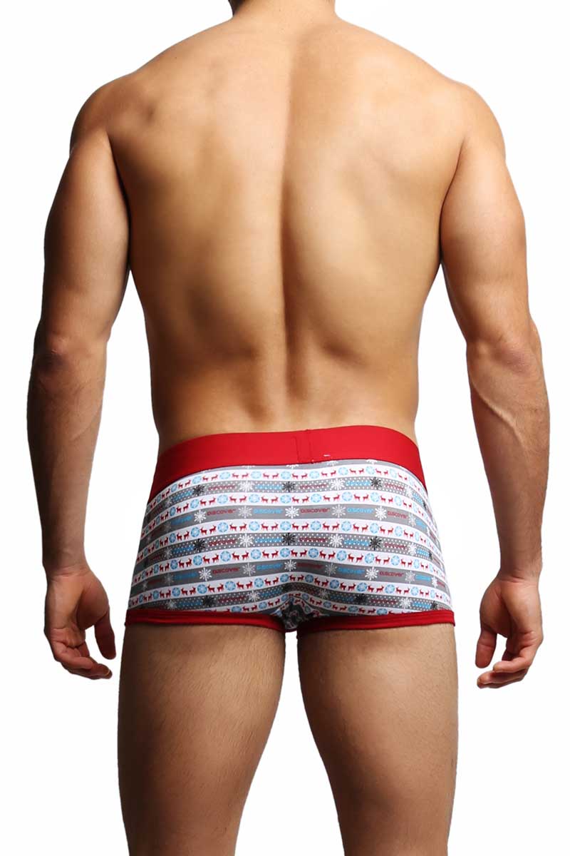 Discover SnowflakeTrunk