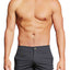 PoolBoy Grey Shorty Short