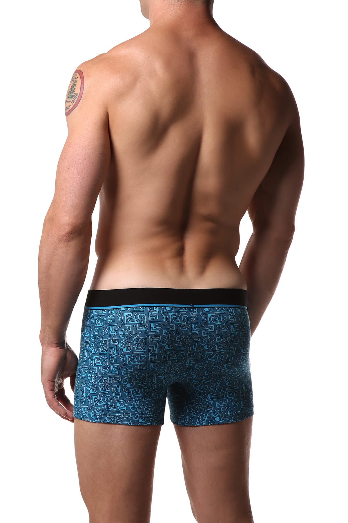 Unsimply Stitched Blue Aztec Trunk