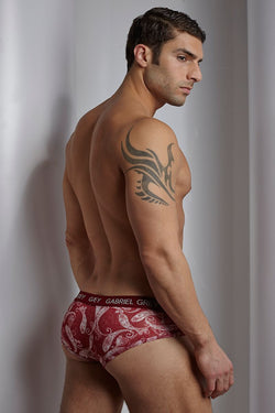 Gabriel Grey Red Paisley Brief thumbnail 2