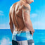 Body Tech Blue & Grey Prism Board Short