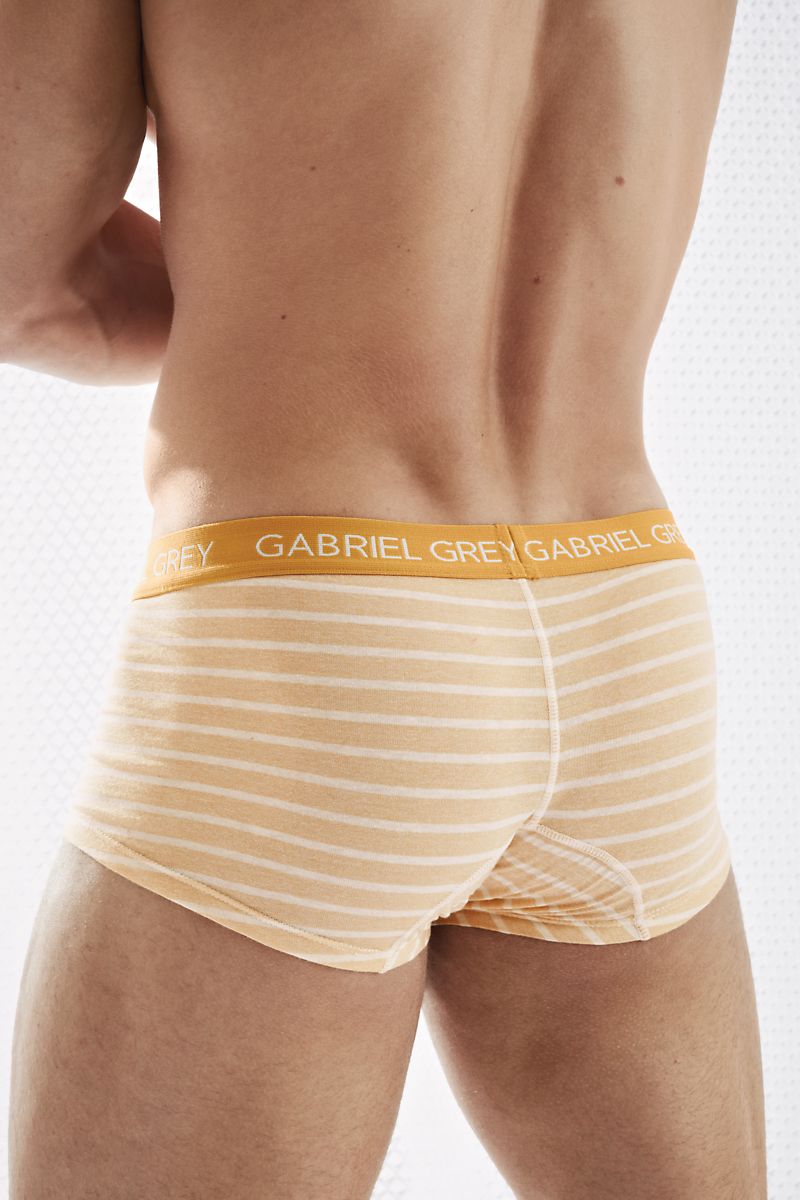 Gabriel Grey Yellow Boxer Brief