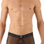 Gregg Homme Black Erotik Ultra Sheer Mesh C-Ring Boxer Trunk