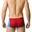 Light Blue & Red Bamboo Trunk
