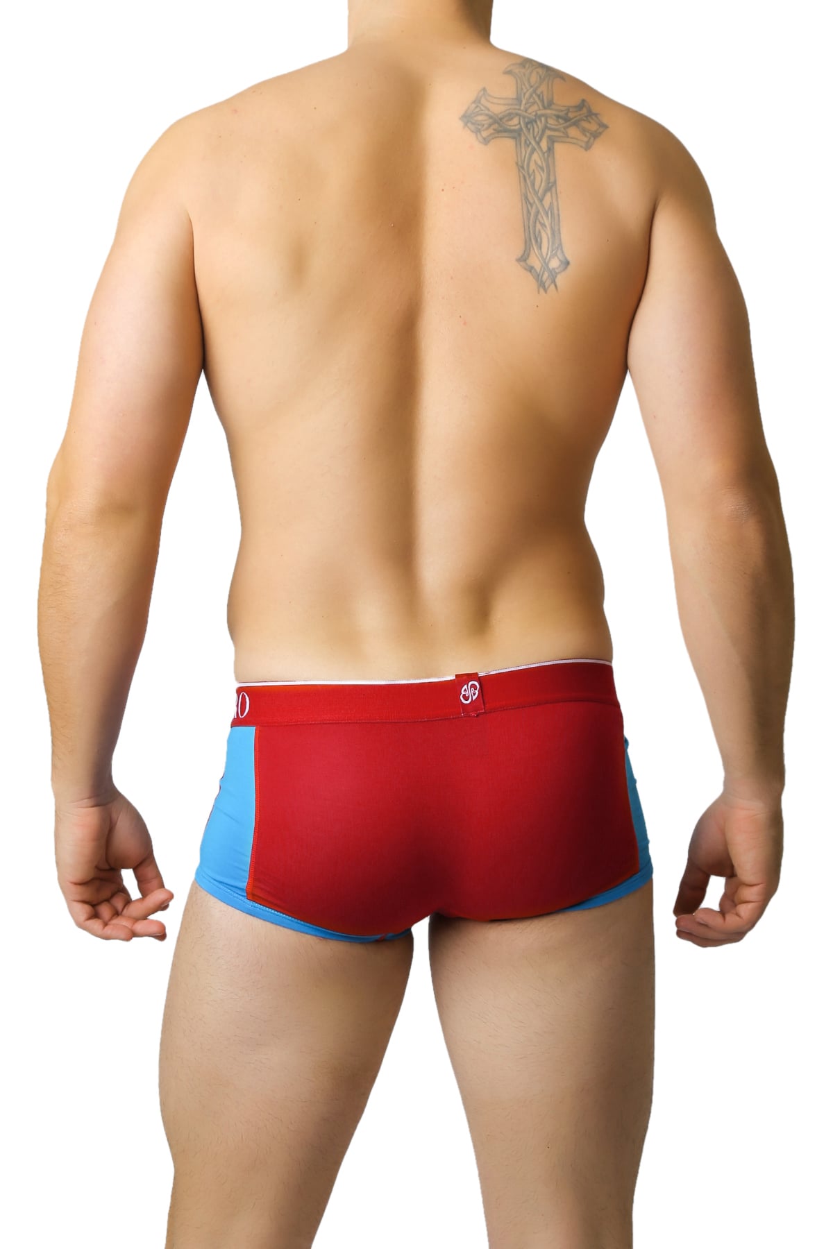 Light Blue & Red Bamboo Trunk