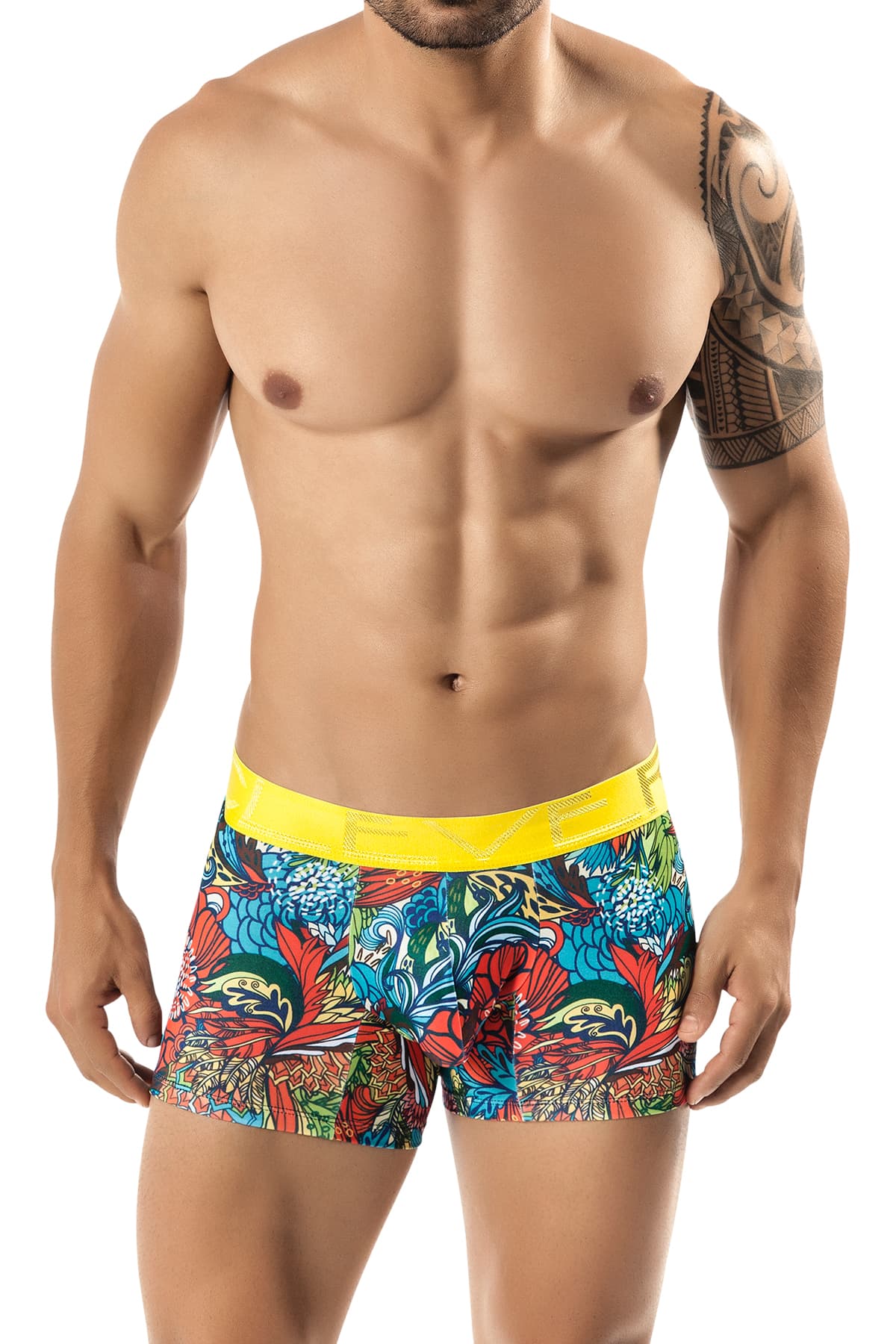 Clever Yellow Elemental Boxer
