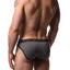 Bear Skn Grey Standard Issue Bamboo Brief