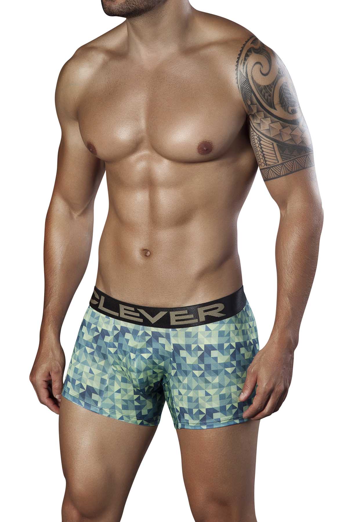 Clever Green Background Boxer