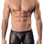 Pikante Gold Amadeus Boxer