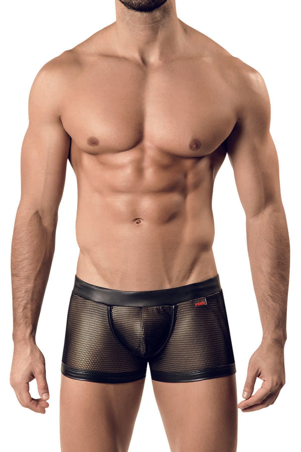 Pikante Gold Amadeus Boxer
