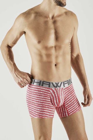 Hawai Coral Pixil Stripes Boxer Brief