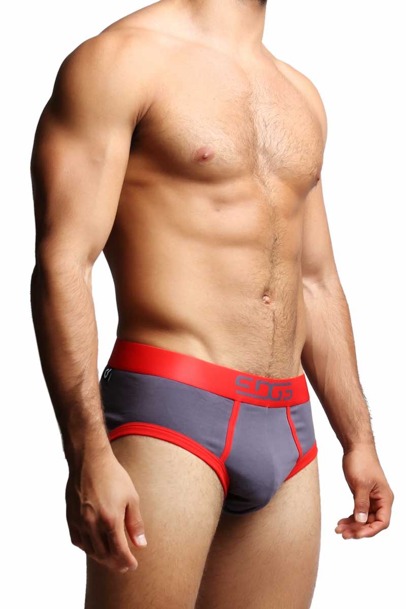 Edge Grey & Red Fitted Brief