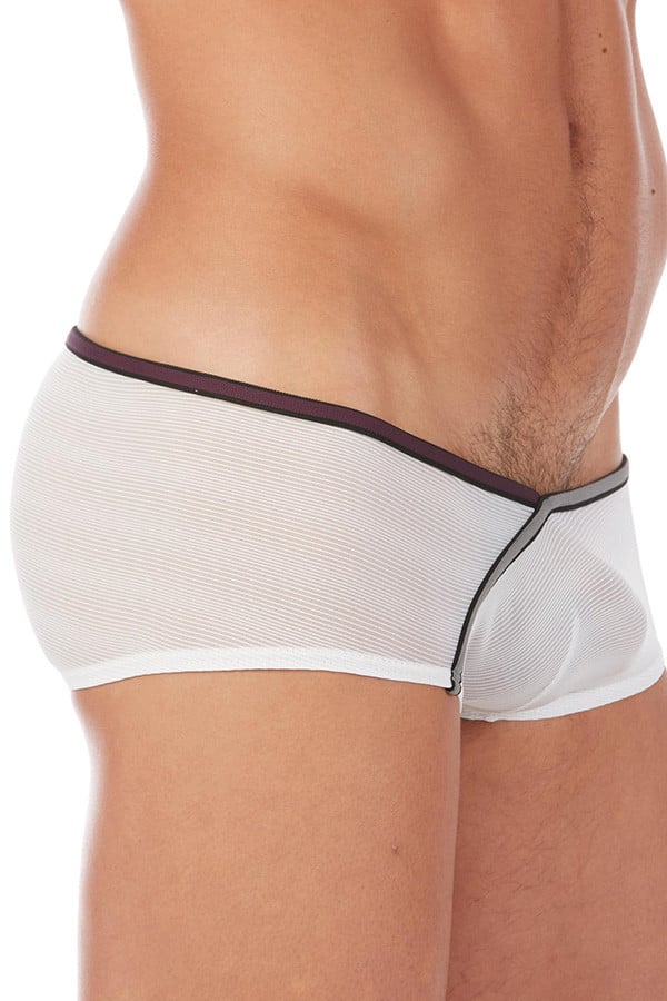 Gregg Homme White Foreplay Boxer Brief