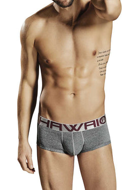 Hawai Grey Brief thumbnail 2