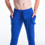 A J  Royal Decathlon Pant