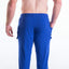 A J  Royal Decathlon Pant