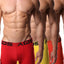 AQS Orange/Red/Yellow Boxer Brief 3-Pack