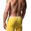 AQS Orange/Yellow/Lime Boxer Brief 3-Pack
