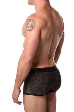 Adonis Gold-Glitz Luxe Boxer Trunk thumbnail 2