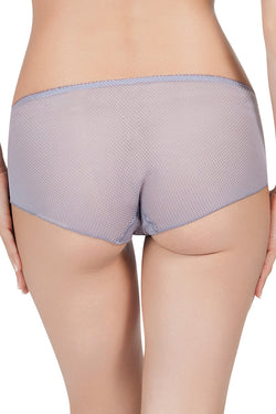 Affinitas Lavender Grey Coco Embroidered Hipster Panty thumbnail 4