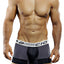 Agacio Grey/Black Domain Boxer Trunk