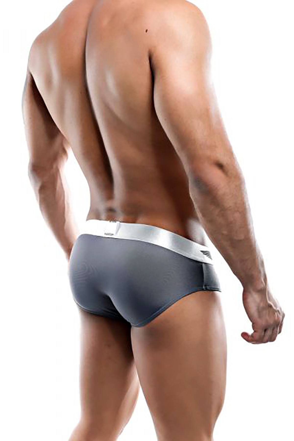 Agacio Grey/Silver Mesh-Insert Bikini Brief