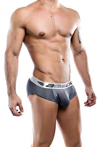 Agacio Grey/Silver Mesh-Insert Bikini Brief
