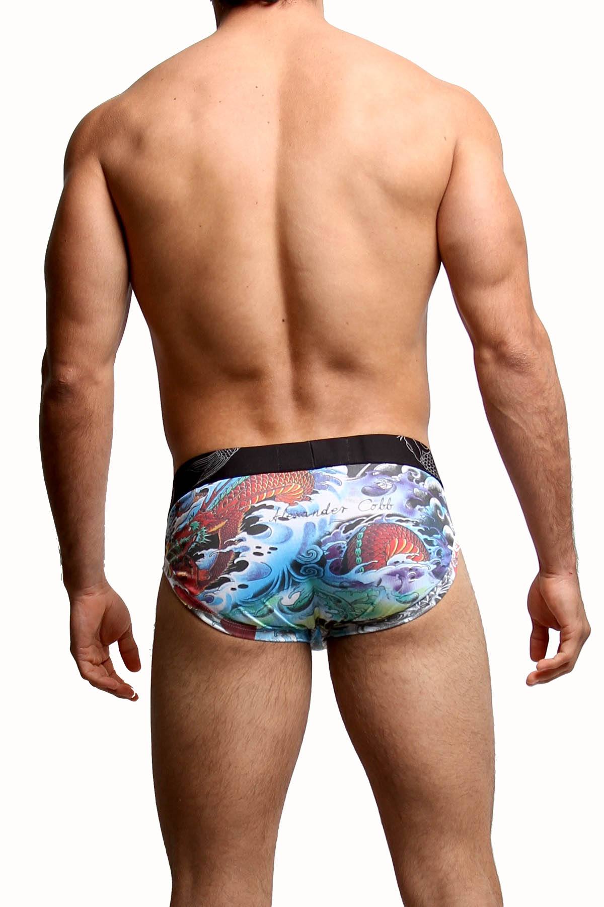 Alexander Cobb Dragon Tattoo Slip Brief