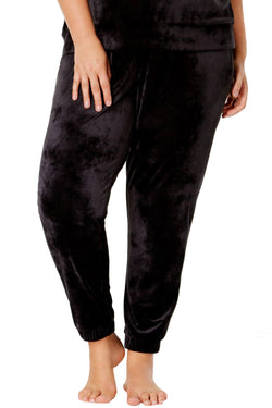 Alfani Velvet Jogger Pant in Black thumbnail 3