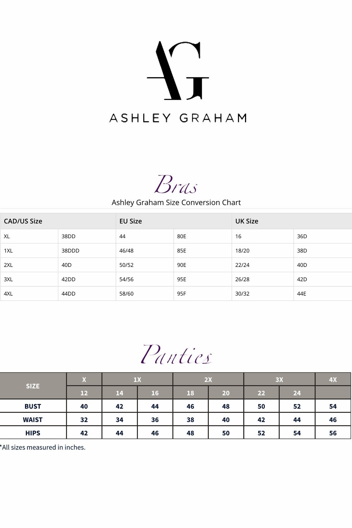 Ashley Graham PLUS Silver-Rain/Black Low-Rise Lace-Waist Bikini Brief