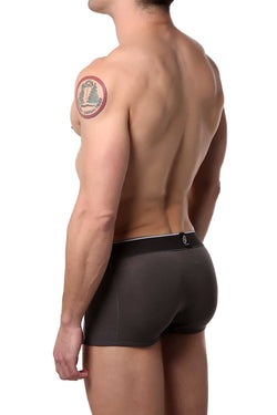 Bamboo Grey/Multi-Color Palm Printed Trunk thumbnail 2
